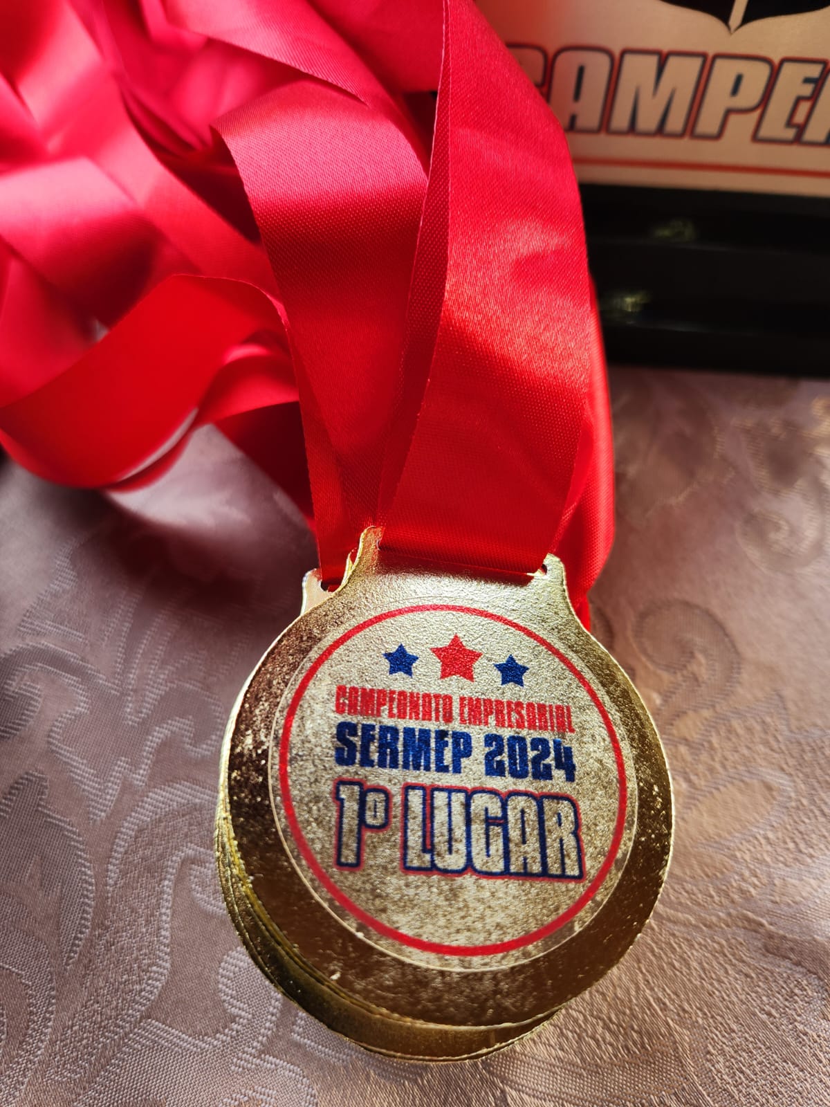 Imagem do WhatsApp de 2024-12-06 à(s) 17.53.58_d46094ac.jpg