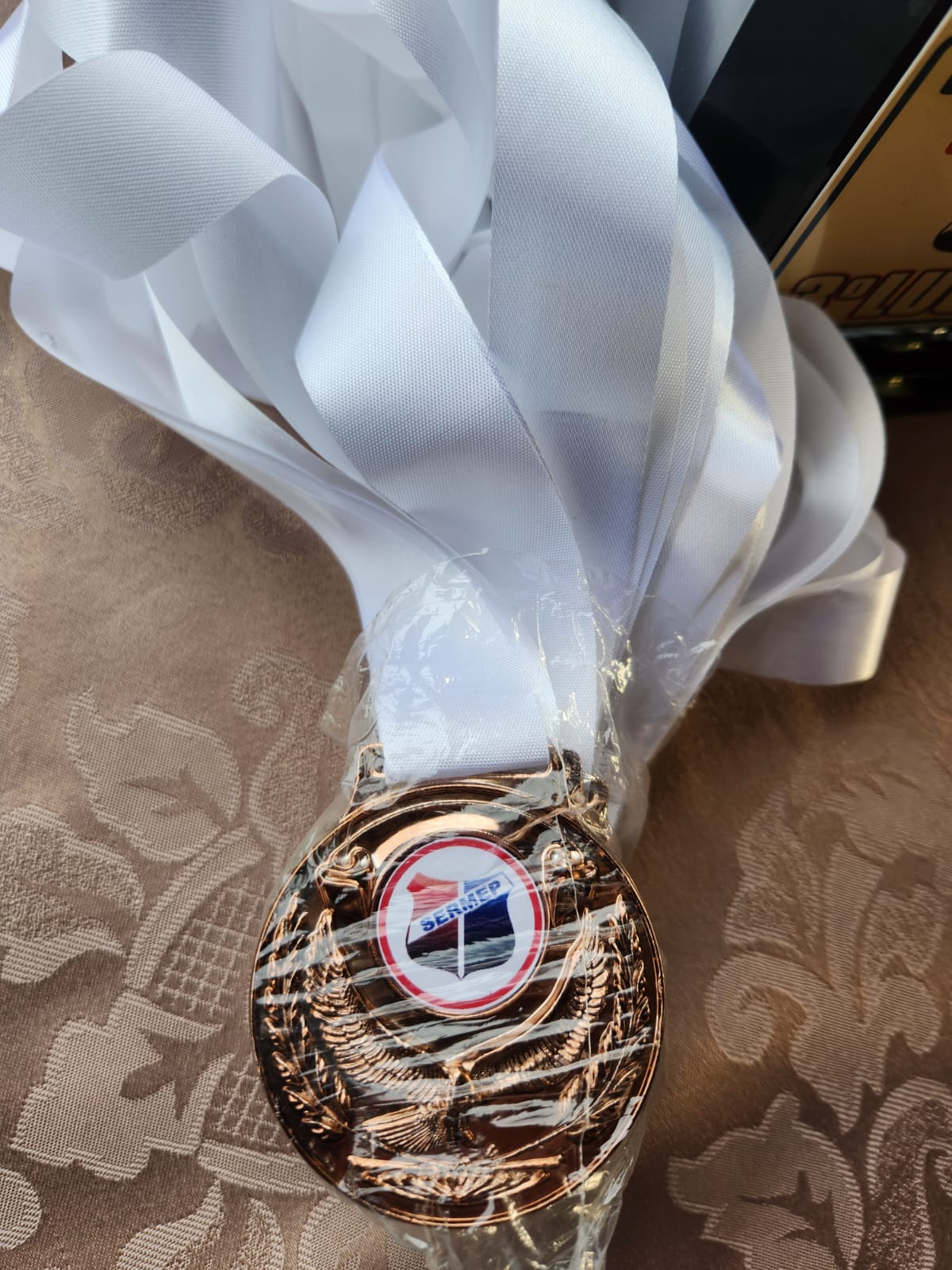 Imagem do WhatsApp de 2024-12-06 à(s) 17.53.58_07fe8f6f.jpg