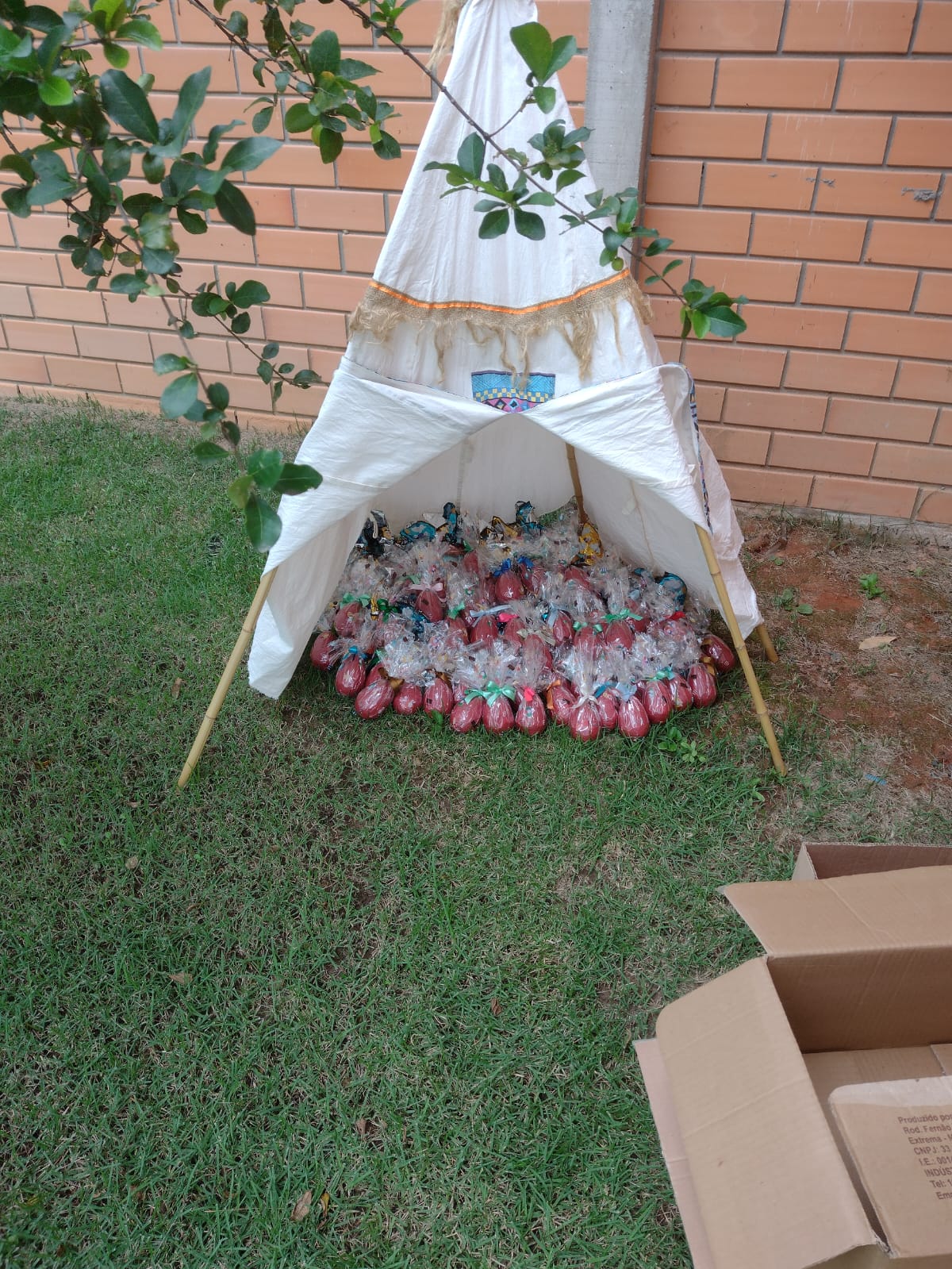 WhatsApp Image 2022-04-10 at 10.40.41.jpeg