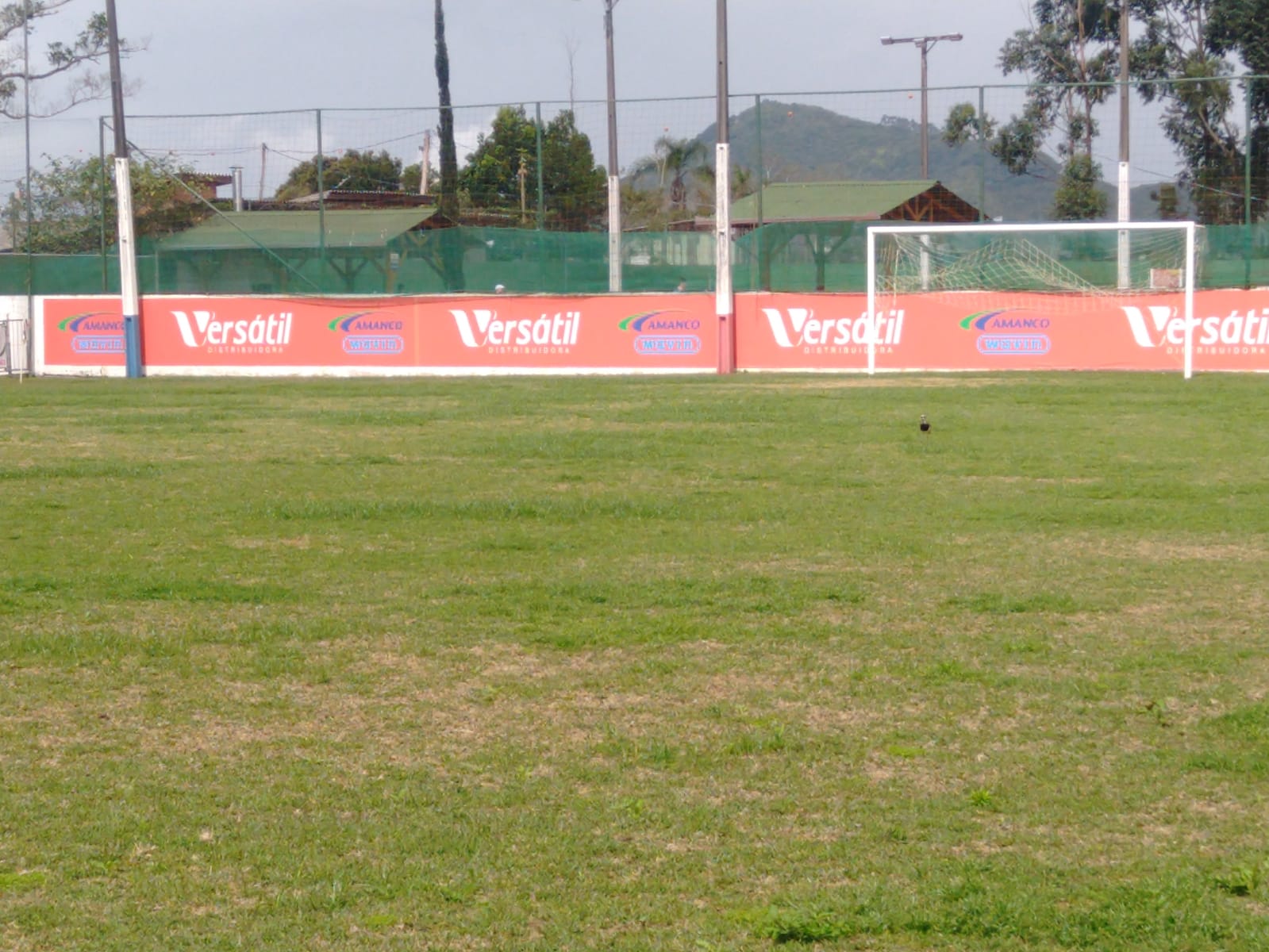 WhatsApp Image 2022-09-17 at 10.29.56.jpeg